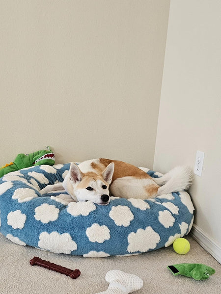 ☁️WOOFWAYZ Dream Bed☁️