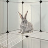 Animal Cage Transparent, White PP Plastic, Steel Large