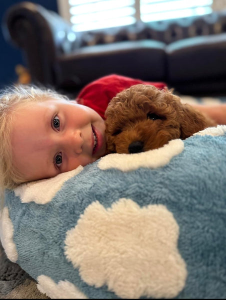 ☁️WOOFWAYZ Dream Bed☁️