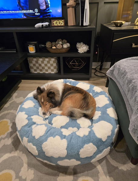 ☁️WOOFWAYZ Dream Bed☁️