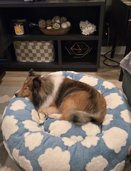 ☁️WOOFWAYZ Dream Bed☁️