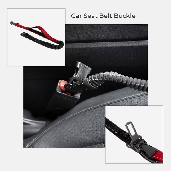 Multifunction Hands Free Dog Leash With Safety Seat Belt