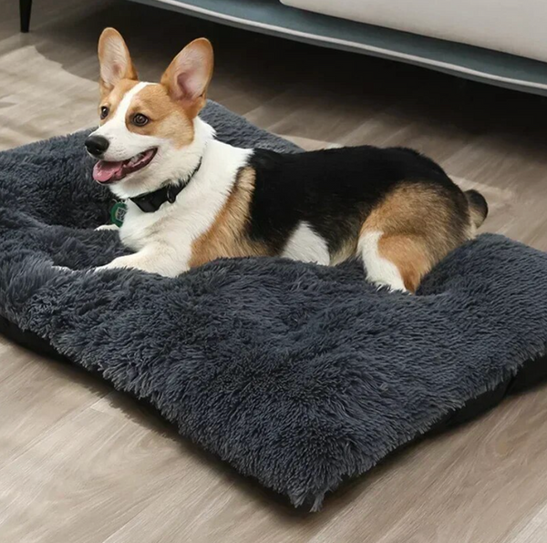 WOOFWAYZ™ Cloud Mat©