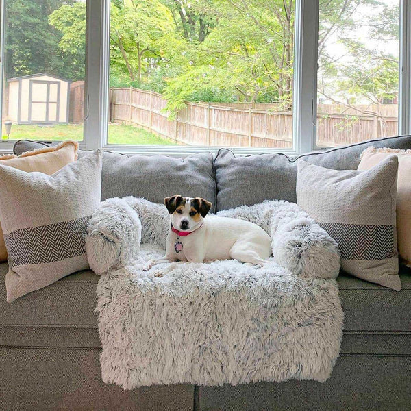 WOOFWAYZ™ Cloud Furniture Protector©
