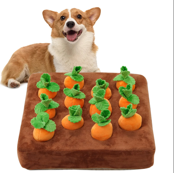 WOOFWAYZ'S CARROT FARM