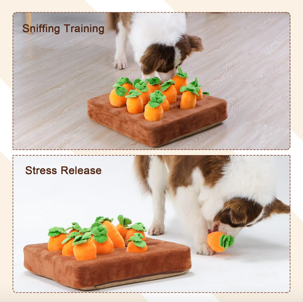 WOOFWAYZ'S CARROT FARM