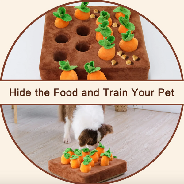 WOOFWAYZ'S CARROT FARM