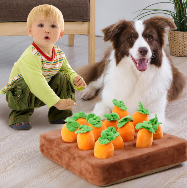 WOOFWAYZ'S CARROT FARM