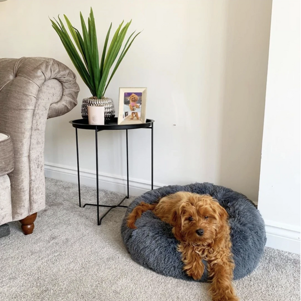 WOOFWAYZ™ CALMING BED©