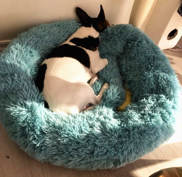 WOOFWAYZ™ CALMING BED©