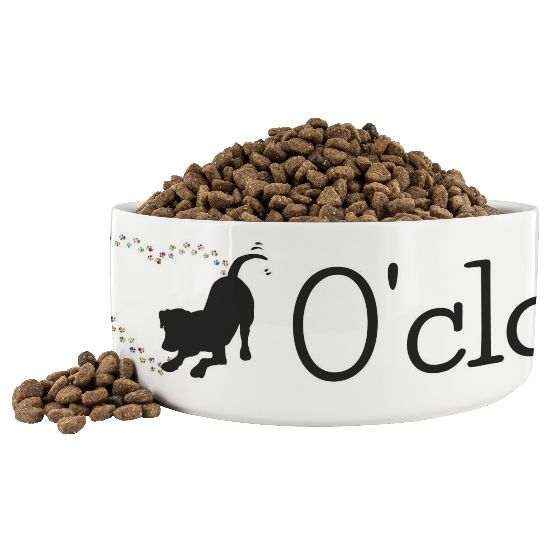 It's Dog O'clock Pet Bowl
