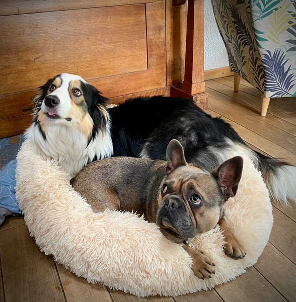 WOOFWAYZ™ CALMING BED©