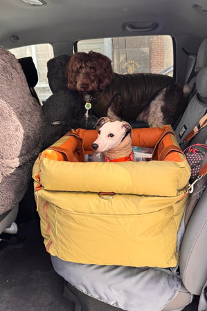 WOOFWAYZ Dog Carrier