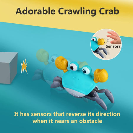 WOOFWAYZ Interactive Crab