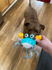 WOOFWAYZ Interactive Crab