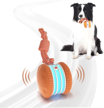 WOOFWAYZ Interactive Rolling Ball