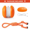 WOOFWAYZ Interactive Rolling Ball