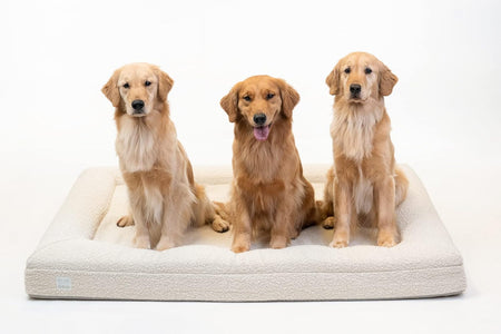 WOOFWAYZ Boucle Bed