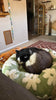 WOOFWAYZ Flower Pedal Calming Bed