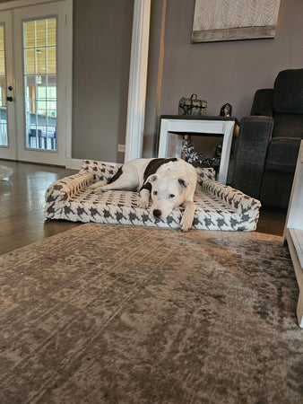 WOOFWAYZ ORTHOPETHIC BED