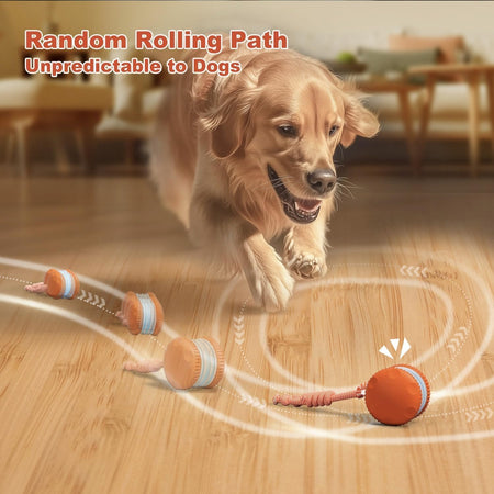 WOOFWAYZ Interactive Rolling Ball