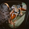 WOOFWAYZ Backseat Dog Bed