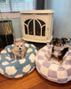 WOOFWAYZ Lavender Checkered Calming Bed