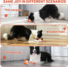 WOOFWAYZ Interactive Rolling Ball