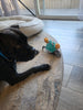 WOOFWAYZ Interactive Crab