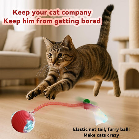 WOOFWAYZ Cativate Rolling Ball