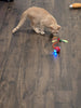 WOOFWAYZ Cativate Rolling Ball