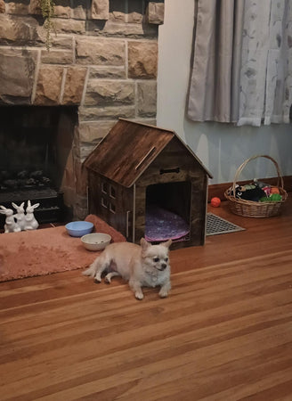 WOOFWAYZ House