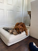 WOOFWAYZ Boucle Bed