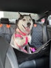 WOOFWAYZ Waterproof Car seat