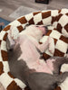 WOOFWAYZ Checkered Calming Bed