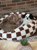 WOOFWAYZ Checkered Calming Bed