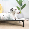 WOOFWAYZ Elevated Dog Bed