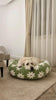 WOOFWAYZ Flower Pedal Calming Bed