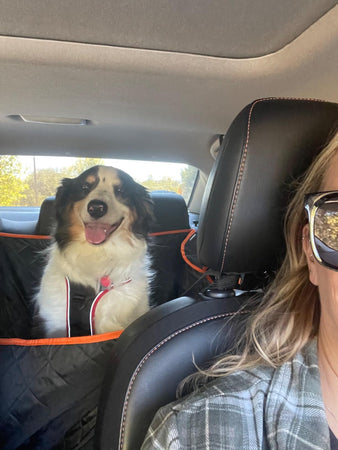 WOOFWAYZ Waterproof Car seat