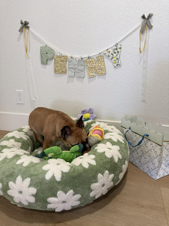 WOOFWAYZ Flower Pedal Calming Bed