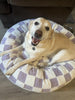 WOOFWAYZ Lavender Checkered Calming Bed