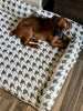 WOOFWAYZ ORTHOPETHIC BED