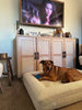 WOOFWAYZ Boucle Bed