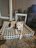 WOOFWAYZ ORTHOPETHIC BED