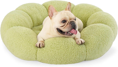 WOOFWAYZ Flower Dog Bed