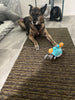 WOOFWAYZ Interactive Crab
