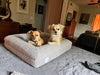 WOOFWAYZ Boucle Bed