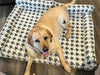 WOOFWAYZ ORTHOPETHIC BED