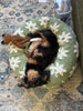 WOOFWAYZ Flower Pedal Calming Bed