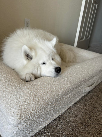 WOOFWAYZ Boucle Bed